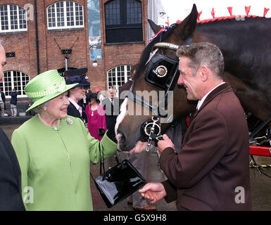 Her Majesty the Queen meets Ambassador the dray horse at the Bass Brewery Museum during her visit with HRH the Duke of Edinburgh to Burton on Trent. Stock Photo