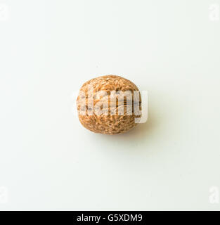 Walnuts in shell on a white background Stock Photo