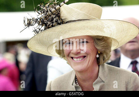Camilla Parker-Bowles chats with crowds outside Holyrood House at the Royal Garden Party, Edinburgh. Stock Photo