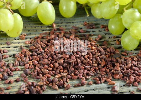 Grape seed / (Vitis vinifera subsp. vinifera) Stock Photo