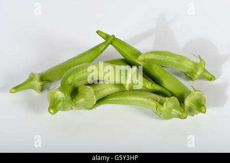 Okra / (Abelmoschus esculentus) / lady's fingers, bhindi, bamia, gumbo Stock Photo