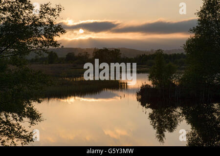 Reflections in a bog pool at Cors Caron National Nature Reserve near sunset Stock Photo