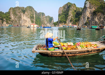 Floating fruit shop in Halong Bay Vietnam Stock Photo