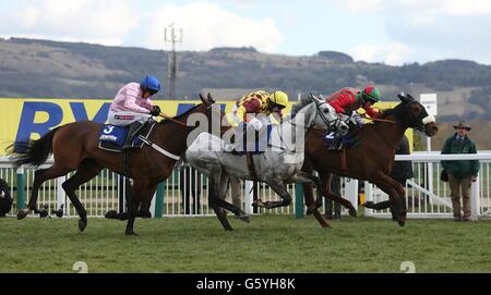 Horse Racing - 2013 Cheltenham Festival - Day Three - Cheltenham Racecourse Stock Photo