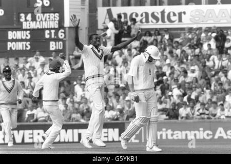 Cricket - West Indies in British Isles 1988 - England v West Indies - 5th Test - The Oval, London Stock Photo