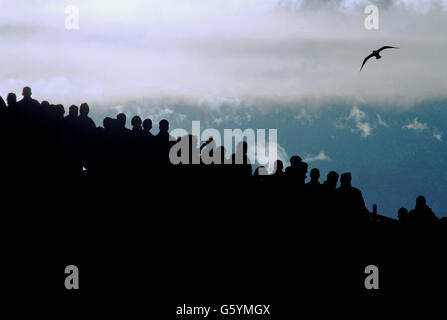 Rugby Union - 2008 Bank Of Scotland Corporate Autumn Test - Scotland v Canada - Pittodrie Stadium. A seagull flies past fans at Pittodrie, home of Aberdeen Stock Photo