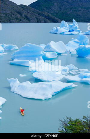 Kayaker on lake, icebergs, Lago Grey, Torres del Paine National Park, Patagonian Andes, Patagonia, Chile Stock Photo