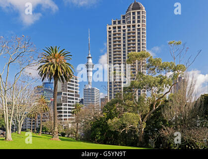 Sky Tower from Albert Park, Auckland, North Island, New Zealand Stock Photo