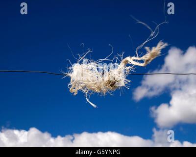 Piece of rope attached to a strand of wire against a blue sky Stock Photo