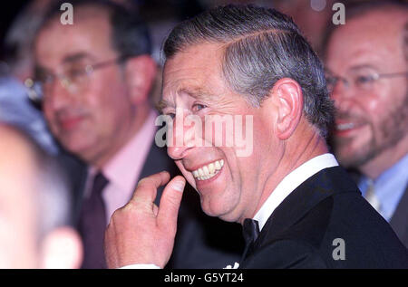 Prince Charles at the Business in the Community's Awards for Excellence 2002, at the Hilton London Metropole in Edgware Road, London. Stock Photo