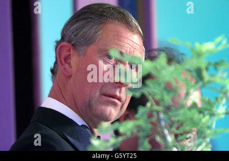 Prince Charles at the Business in the Community's Awards for Excellence 2002, at the Hilton London Metropole in Edgware Road, London. The Prince looks at a tree presented to him at the dinner. Stock Photo