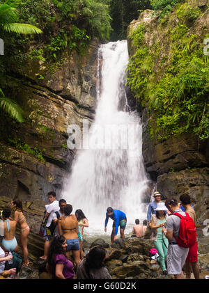 People enjoy cooling off in La Mina Falls, El Yunque Falls, Puerto RIco. Stock Photo