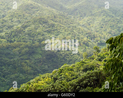 View of Casa Flamboyant, a bed and breakfast in the El Yunque National Forest, north of Naguabo, Puerto Rico. Stock Photo