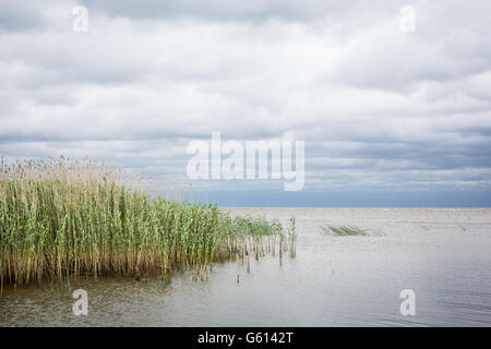 lake Peipus at sunrise, Eastern Estonia Stock Photo