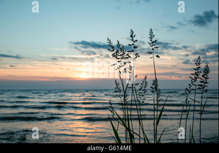 lake Peipus at sunrise, Eastern Estonia Stock Photo