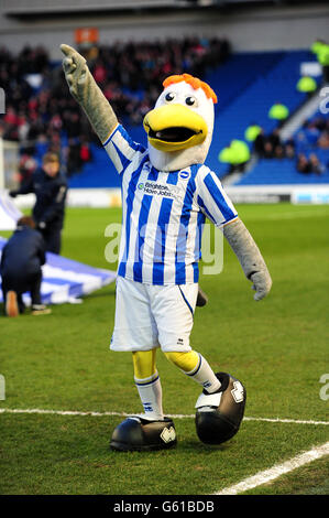 Soccer - npower Football League Championship - Brighton and Hove Albion v Charlton Athletic - AMEX Stadium. Brighton and Hove Albion mascot Gully Stock Photo