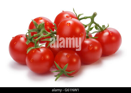 Ripe heirloom Cherry Tomatoes on vine (Solanum lycopersicum). Clipping paths for both tomatoes and shadow,infinite depth of fiel Stock Photo