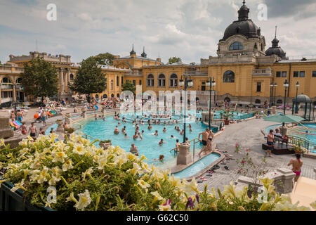 Szechenyi Thermal bath in Budapest Stock Photo