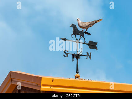 Dove sitting on horse  weather vane Stock Photo