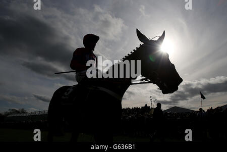 Sprinter Sacre under jockey Barry Geraghty celebrates victory over Sizing Europe at the Boylesports.Com Champion Chase during the Boylesports Day at the 2013 Festival at Punchestown Racecourse, Co Kildare, Ireland. Stock Photo