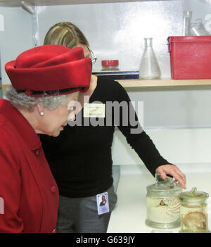 Queen Elizabeth II looks at mollusc specimens, shown to her by Amelia Campbell at the new Darwin Centre, at the Natural History Museum, London. The Queen was visiting the 30 million Centre for its official opening. Stock Photo