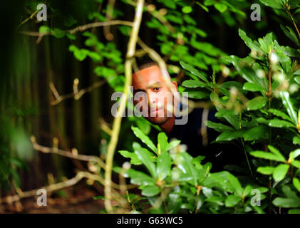 Golf - 2013 BMW PGA Championship - PRO/AM Tournament - Wentworth Club. Arsenal's Theo Walcott finds himself in the bushes during the PRO/AM tournament at the Wentworth Club, Surrey. Stock Photo