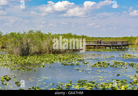 Florida, Everglades National Park, Anhinga Trail, couple on boardwalk Stock Photo