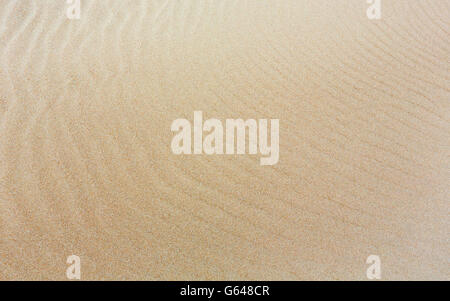 White sand background with barely visible waves after surf on beach. Stock Photo