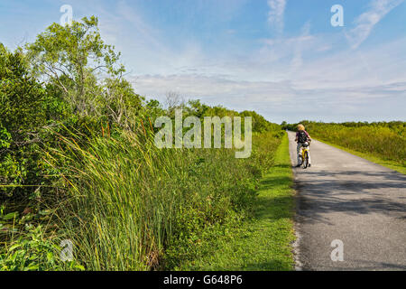 Florida, Everglades National Park, Shark Valley, female bicycle rider Stock Photo