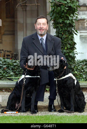 Home Secretary David Blunkett with his new guide dog Sadie (left) and old guide dog Lucy at New Palace Yard, Palace of Westminster in London. After almost a decade as his constant companion, David Blunkett's beloved dog Lucy is retiring this weekend. * She will be replaced by her half sister Sadie - a two-year-old black Labrador-curly-coated retriever cross. Stock Photo