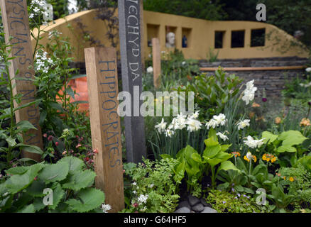 A general view of the National Botanic Garden of Wales Get Well Soon Garden during the RHS Chelsea Flower Show, London. Stock Photo