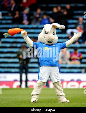Peterborough United mascot Peter Burrow on the pitch before kick-off Stock Photo