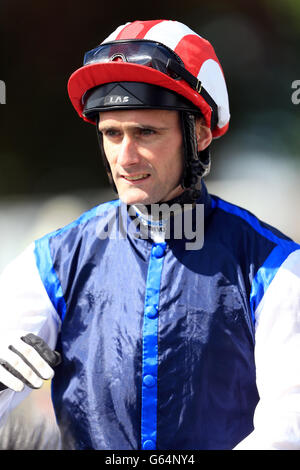 Horse Racing - 2013 Dante Festival - Yorkshire Cup Day - York Racecourse. Jockey Paul Mulrennan. Stock Photo