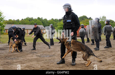 Police officers including members of the PSNI undergo riot training including the use of dog handlers at Longmoor Army Camp ahead of the G8 meeting in Northern Ireland. Stock Photo