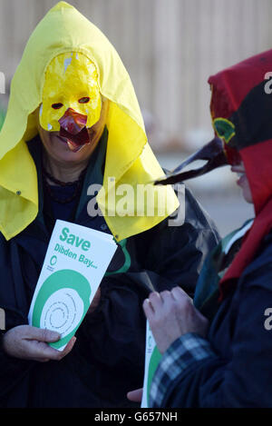 Members of 'Friends of the Earth' wearing bird outfits, gather outside the Dibden Bay Terminal inquiry in Southampton, as the year long investigation draws to a close. * Associated British Ports (ABP) are facing severe local resistance over plans to build a container terminal on the edge of the New Forest. Stock Photo