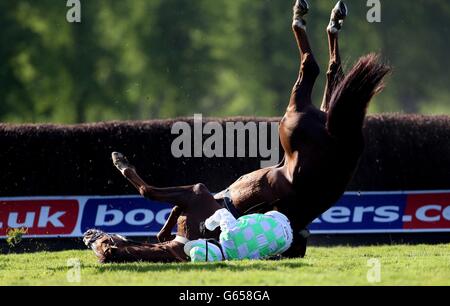 Horse Racing - Worcester Racecourse. Likearollingstone ridden by Mark Grant is a faller in the Print Strategy Europe Beginners' Steeple Chase at Worcester Racecourse, Worcester. Stock Photo