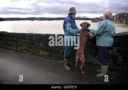 Residents of the town of Pulborough in Sussex view the extent of the flooding that has hit their home town and much of the south of England after heavy rain over the past few days. Stock Photo