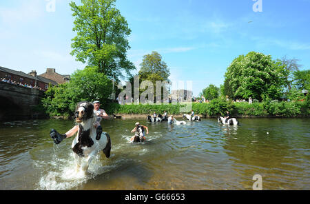 Members of the travelling community ride their horses through the River Eden on day two of the Appleby Horse Fair, the annual gathering of gypsies and travellers in Appleby, Cumbria. Stock Photo