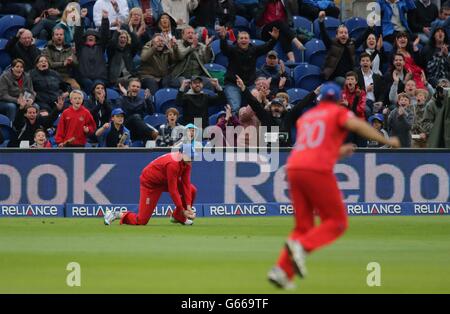 Cricket - ICC Champions Trophy - Group A - England v New Zealand - SWALEC Stadium. England's Joe Root catches New Zealand batsman Brendon McCullum during the ICC Champions Trophy match at the SWALEC Stadium, Cardiff. Stock Photo