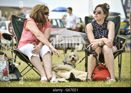 A dog takes shade under an umbrella in the hot sunshine during day four of the Barbury International Horse Trials at Barbury Castle, Wiltshire. Stock Photo