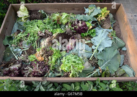 Composting in wooden frame bed / compost Stock Photo