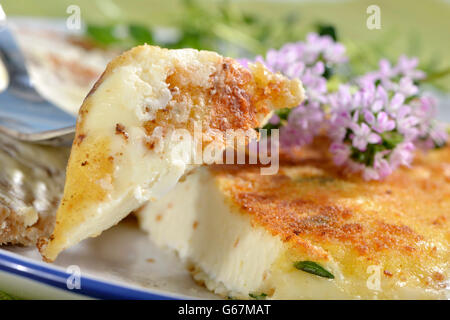 Sheep's milk cheese with thyme Stock Photo