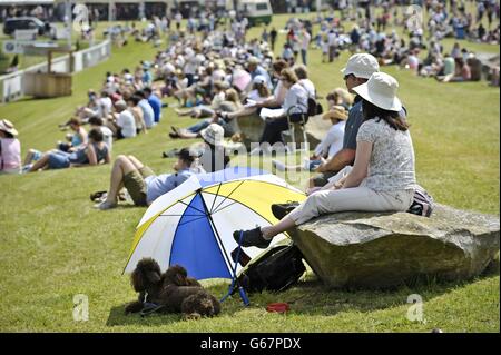 Dogs take shade under an umbrella in the hot sunshine during day three of the Barbury International Horse Trials at Barbury Castle, Wiltshire. Stock Photo