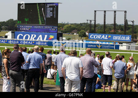 Horse Racing - Coral-Eclipse Day - Sandown Park. Racegoers watch the action at Sandown Park Stock Photo