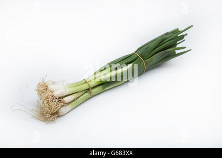 Fresh green onions bonded together lying on white background Stock Photo