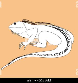 Illustration of iguana in black and white colors on a colored background Stock Vector