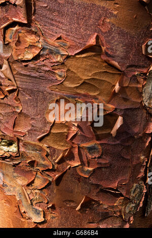 Rowallane Gardens, Co. Down, Northern Ireland Stock Photo