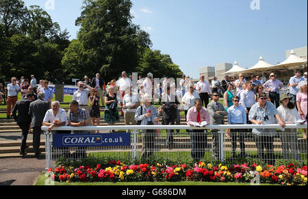 Horse Racing - Coral-Eclipse Day - Sandown Park. Racegoers look into the parade ring at Sandown Park Stock Photo
