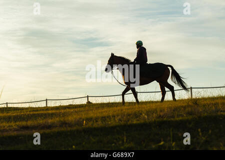 Race Horse rider silhouetted training track countryside dawn morning color landscape Stock Photo