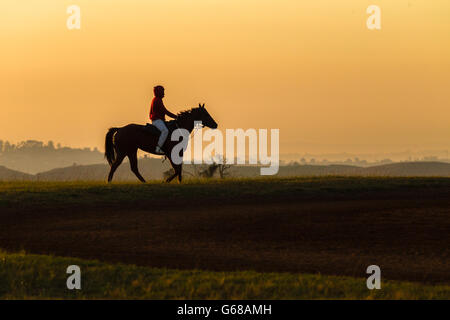 Race Horse rider silhouetted training track countryside dawn morning color landscape Stock Photo